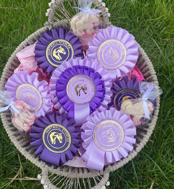 Horse and pony birthday parties - Buckinghamshire