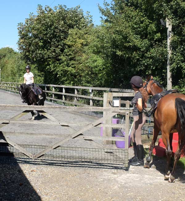 Horse riding lessons in Buckinghamshire