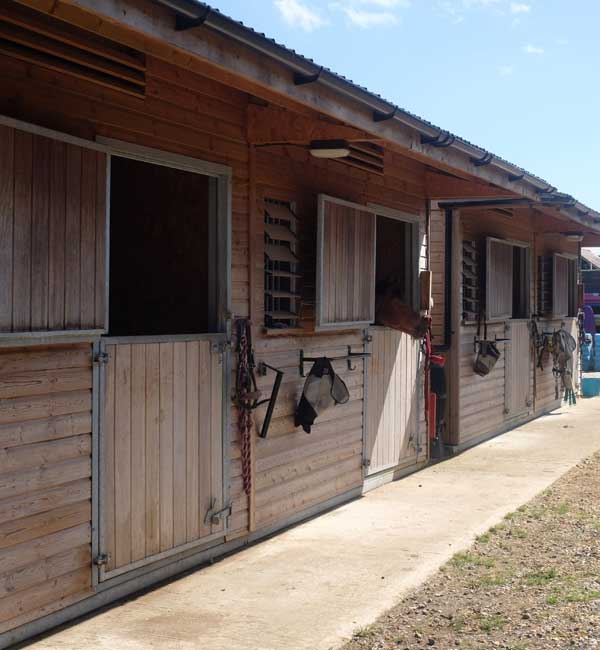 Riding Stable Management in Buckinghamshire